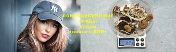 дживик Осинники