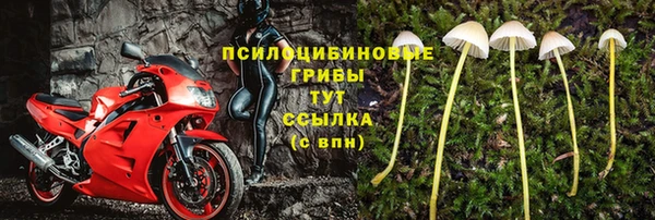 дживик Осинники