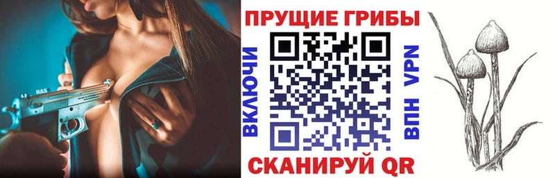 Псилоцибиновые грибы ЛСД  цена   Скопин 